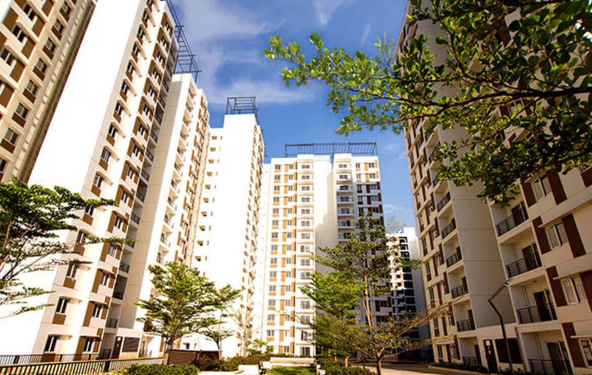  new haven bengaluru phase v Elevation