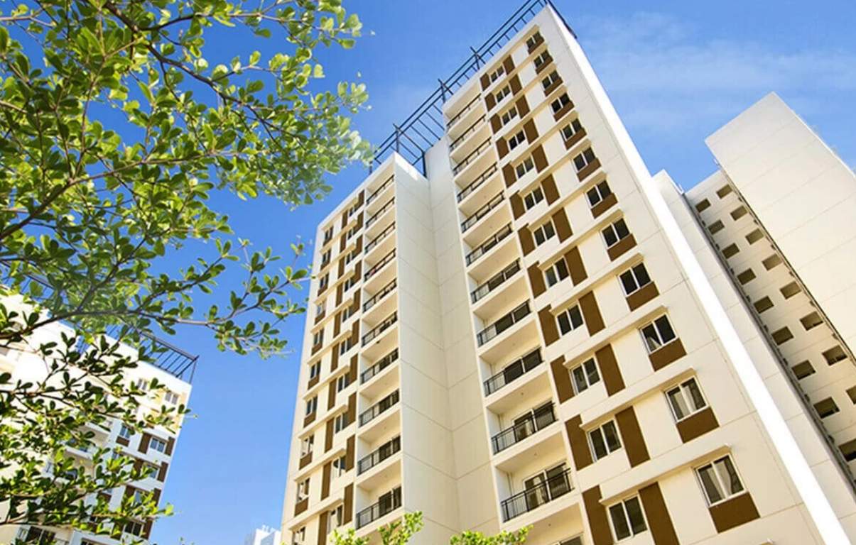  new haven bengaluru phase v Elevation