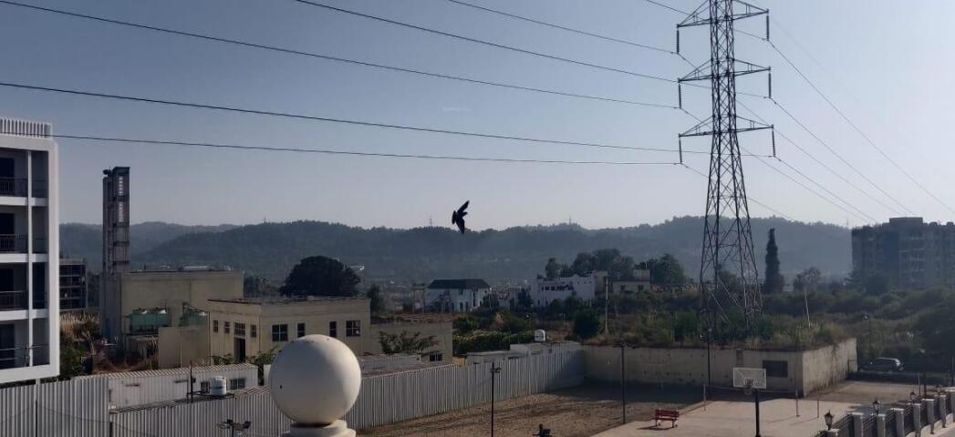  the valley gardens Construction Status May 25