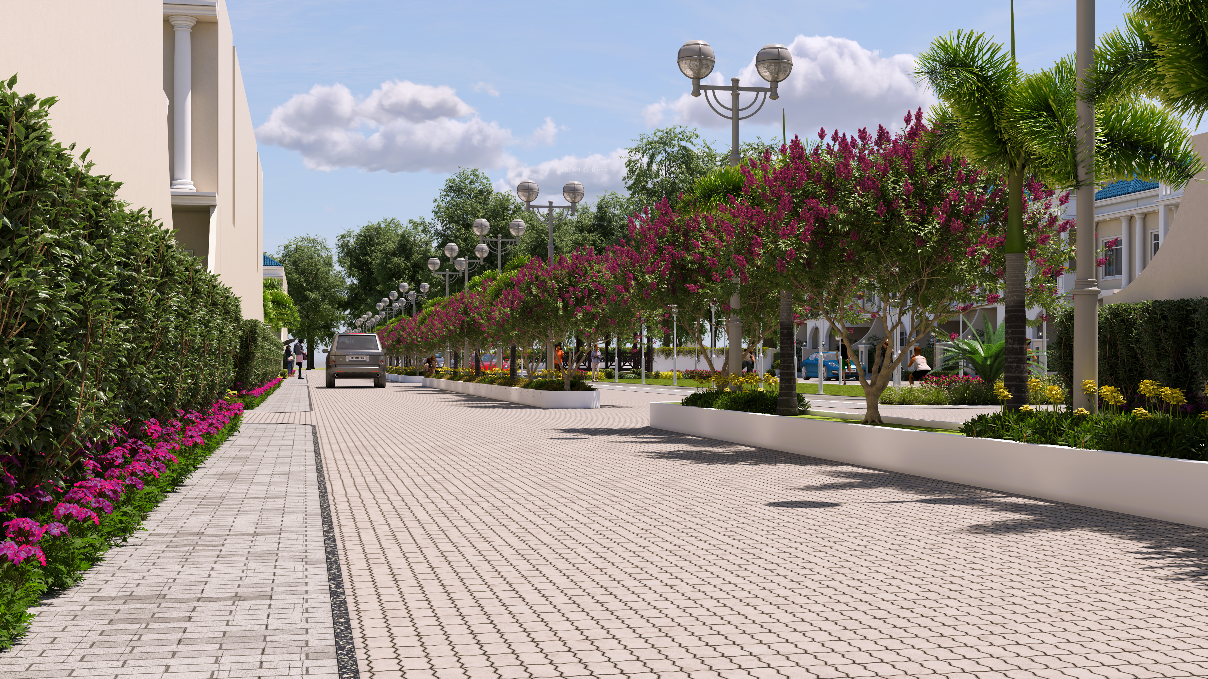  palm springs Elevation