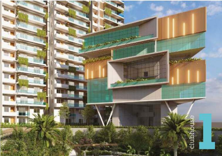  the drizzle Club House