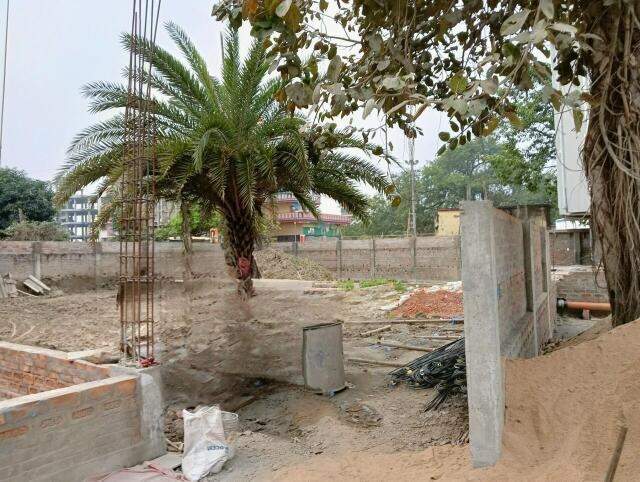  sunrise complex Construction Status Feb 24