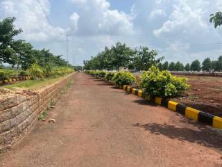 Project Image Project Image