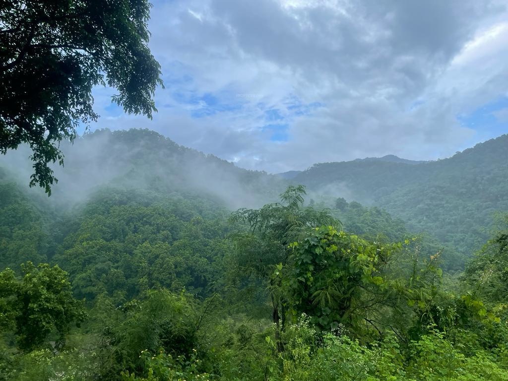  river sound city Plot