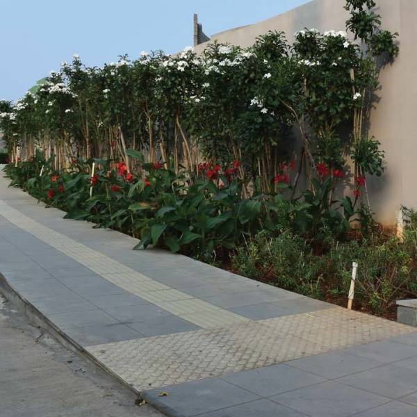  building-c2-eon-homes Others