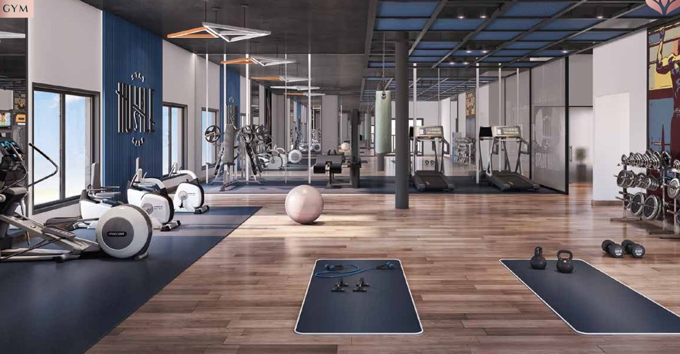  tranquil Gymnasium