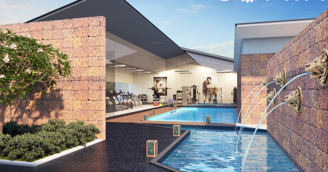  green acrres Gymnasium