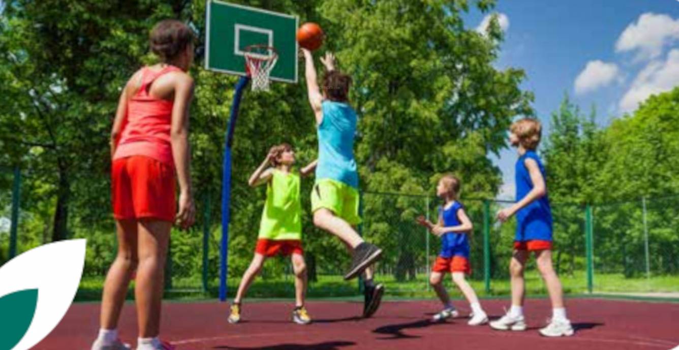  woodland phase 2 Others