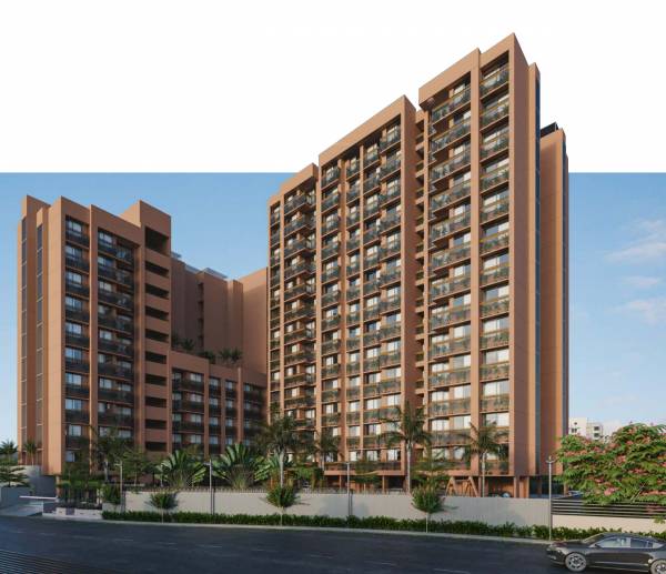  ananya-allium Elevation