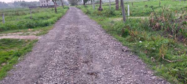  rainbow-park Internal Roads