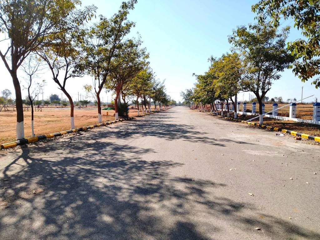  dukes urban village Internal Roads