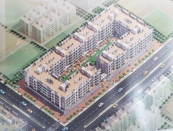  complex-ii Elevation