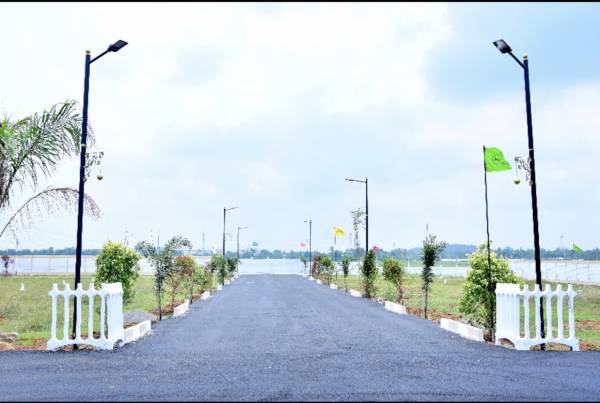  the-palace Internal Roads