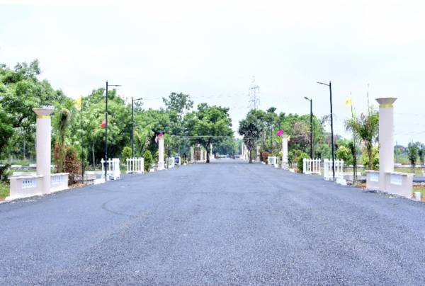  the-palace Internal Roads