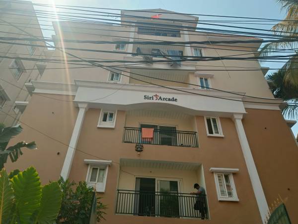  siri-arcadia Elevation