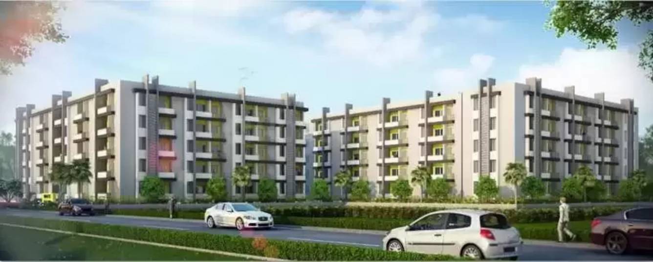  white palms Elevation