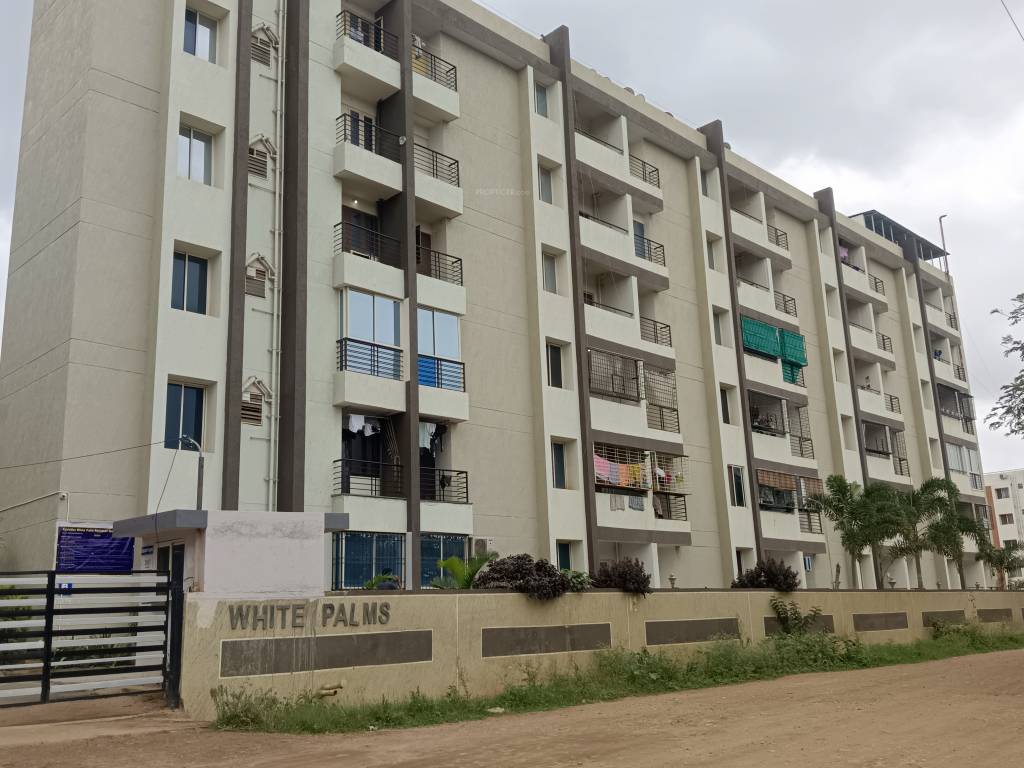  white palms Elevation