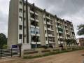 Epshita Builders White Palms
