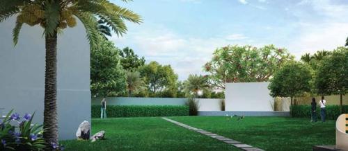  white-palms Landscape Garden and Tree Planting