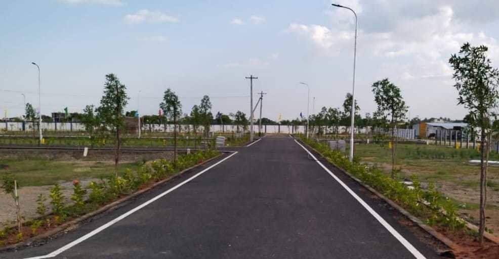  monarch phase 2 Plot