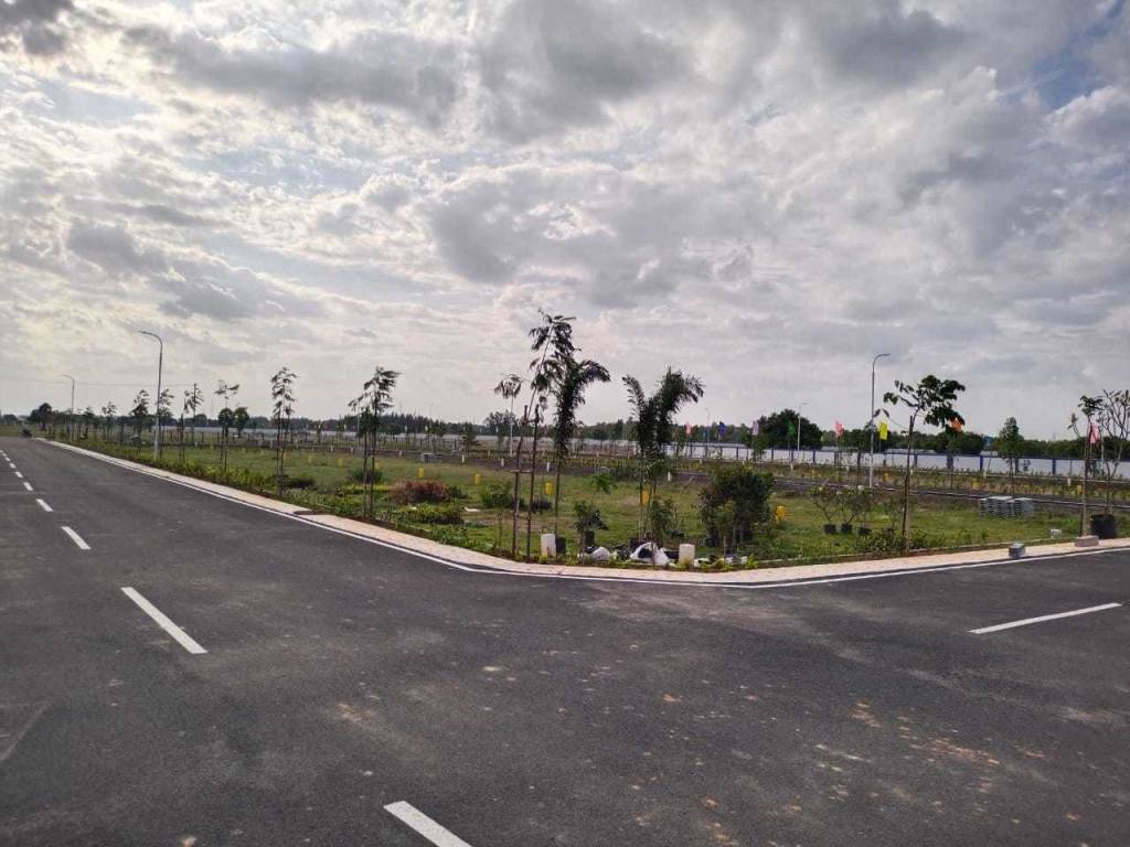  monarch phase 2 Plot