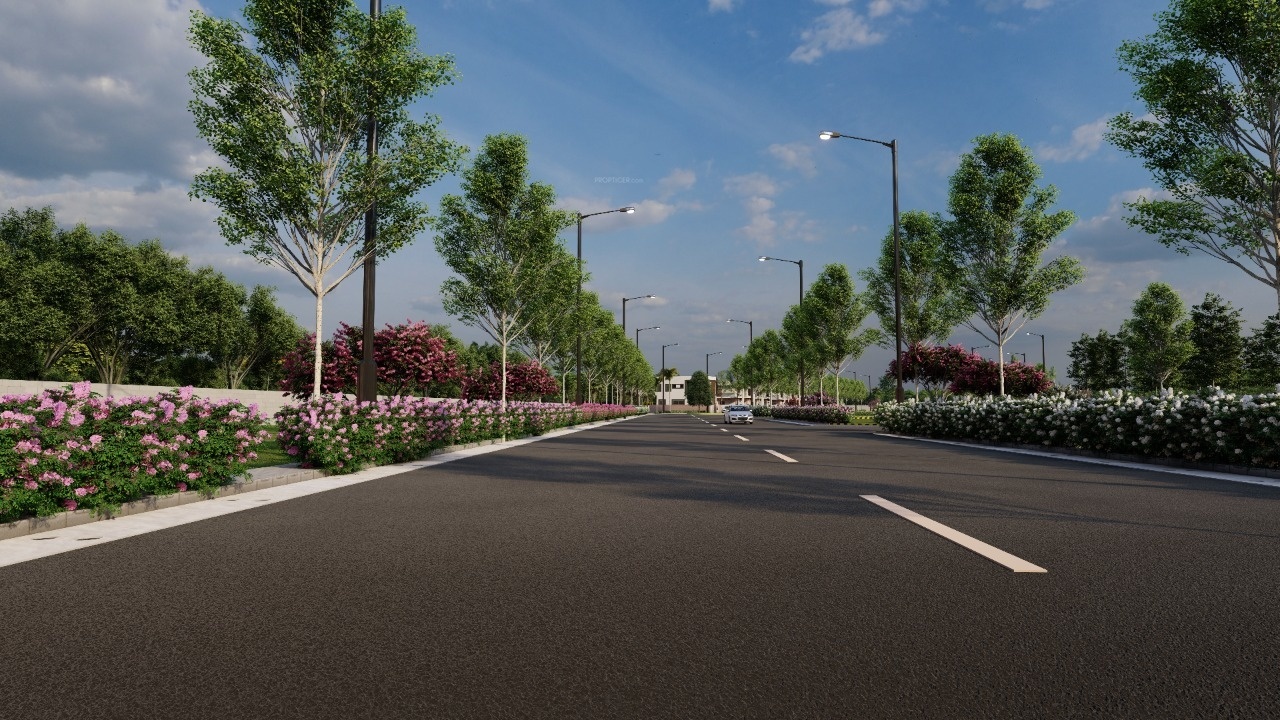  monarch phase 2 Plot