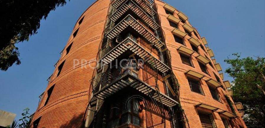  scarlet begonias Images for Elevation of Total Environment Scarlet Begonias