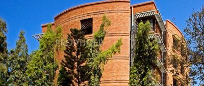  scarlet-begonias Images for Elevation of Total Environment Scarlet Begonias