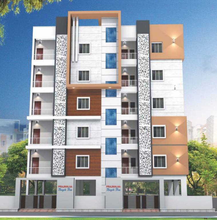  temple tree Elevation