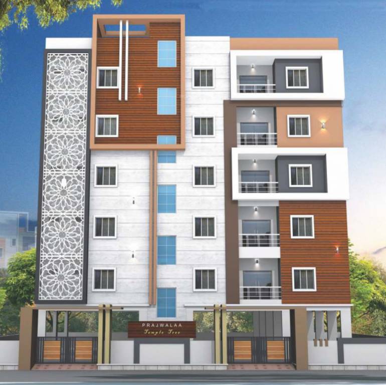  temple tree Elevation