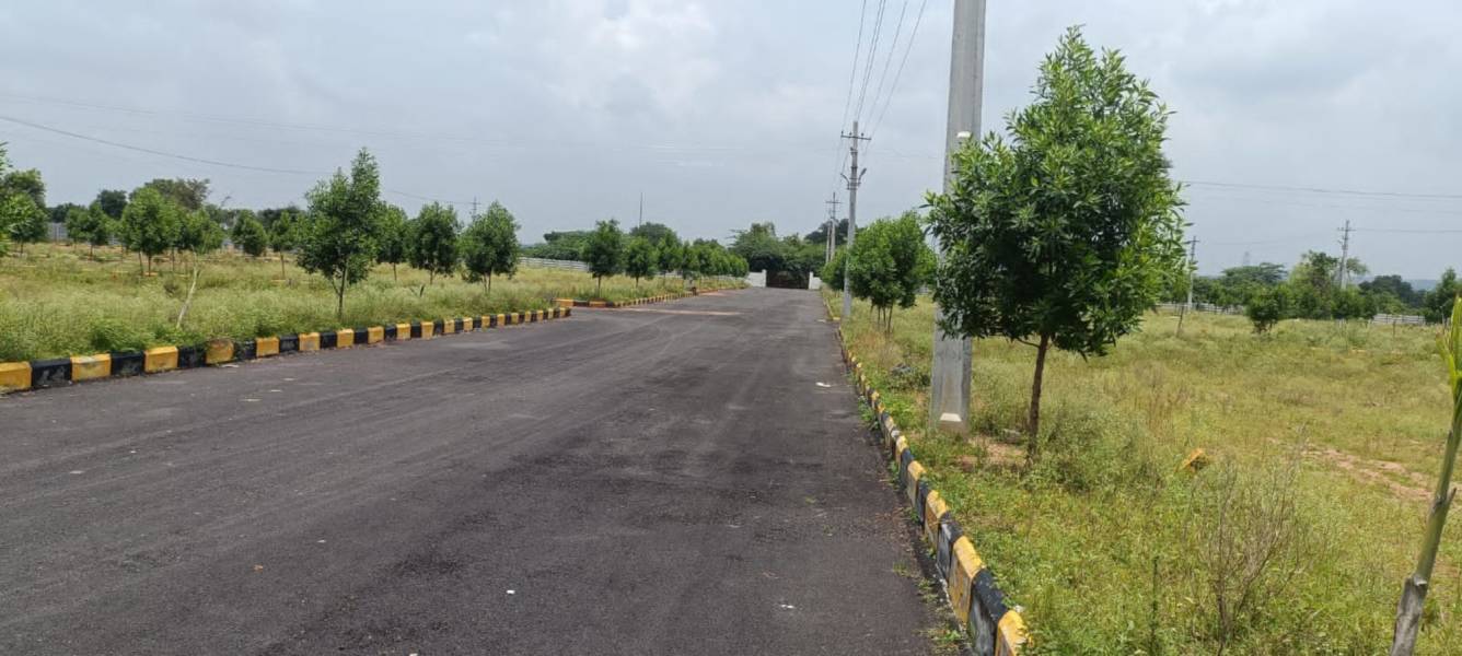  mega pharma city Plot