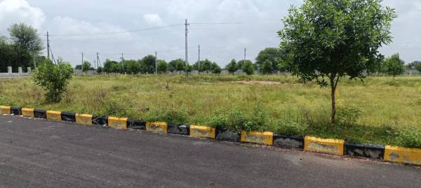  mega-pharma-city Plot