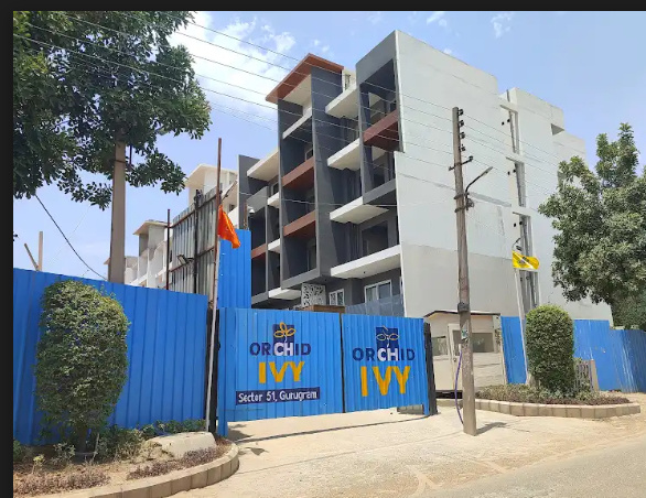  ivy Construction Status July-24