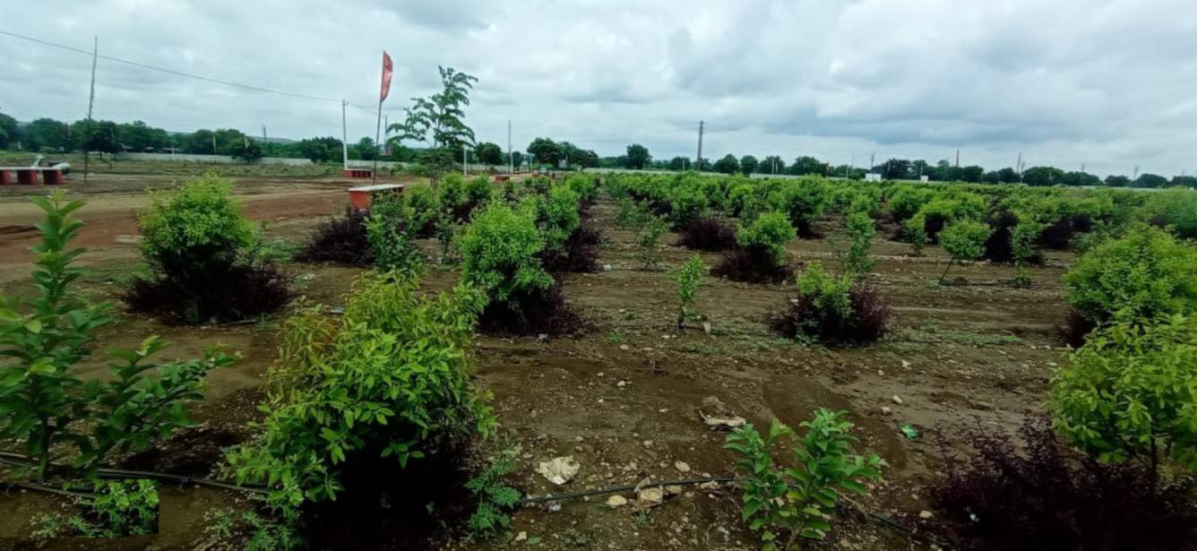 Elevation tummalapalli Elevation