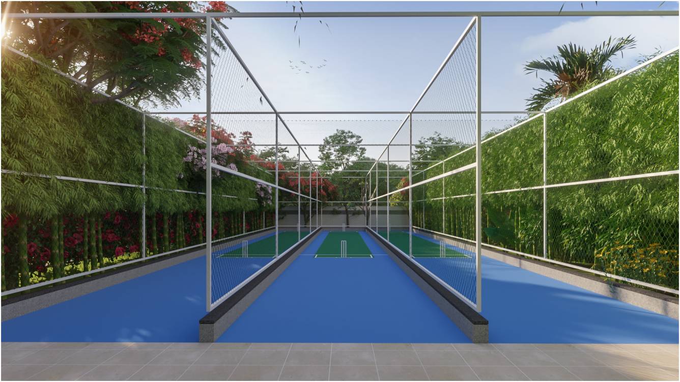  mirabilia Cricket Pitch