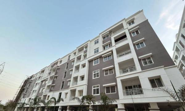  greater-infras-honesty Elevation