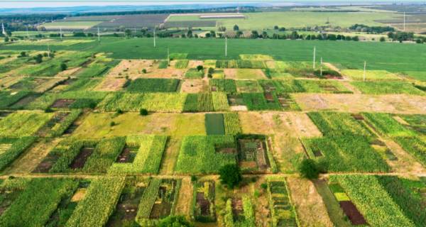 Elevation visthara Elevation