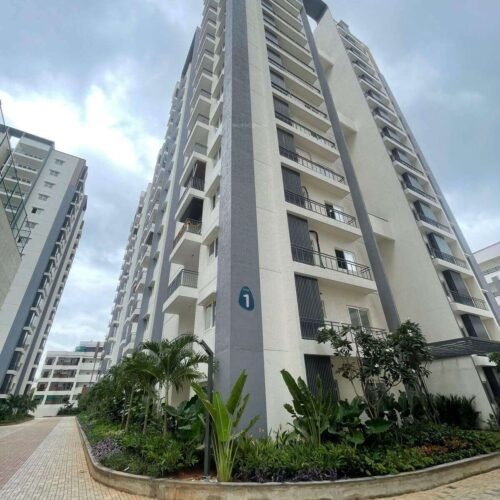 cornerstone Construction Status Aug 24