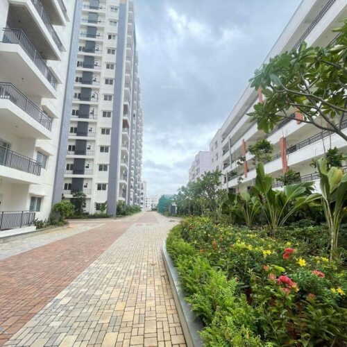 cornerstone Construction Status Aug 24