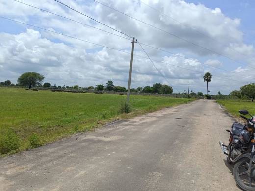 kingston-meadows Elevation Elevation