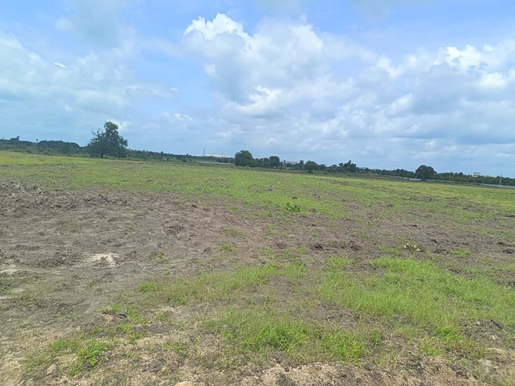  kingston meadows Plot