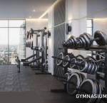 Gymnasium park-estate Gymnasium