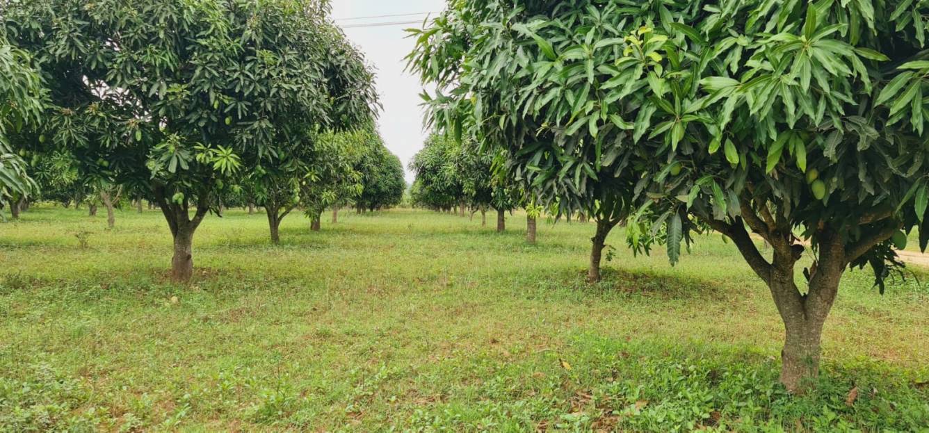  arb earthen farms Plot