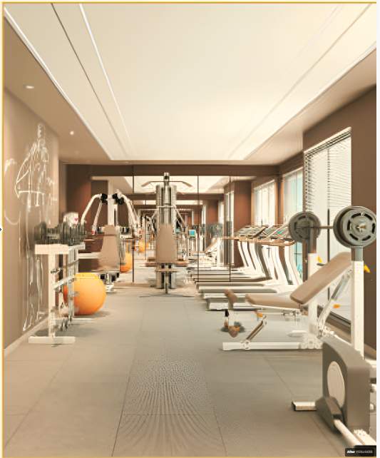  rex residency Gymnasium