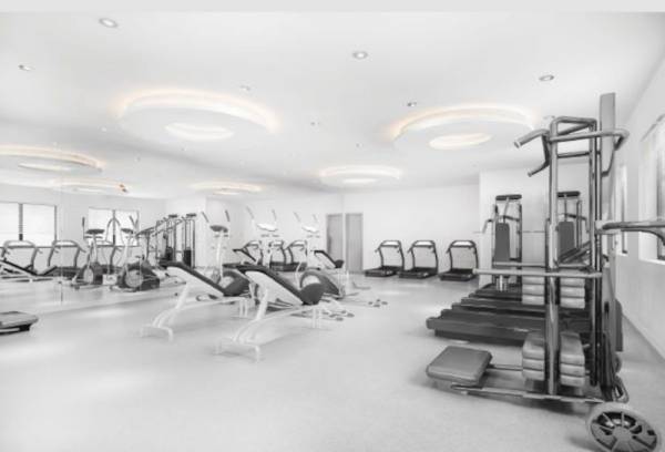 Gymnasium skylark-1 Gymnasium