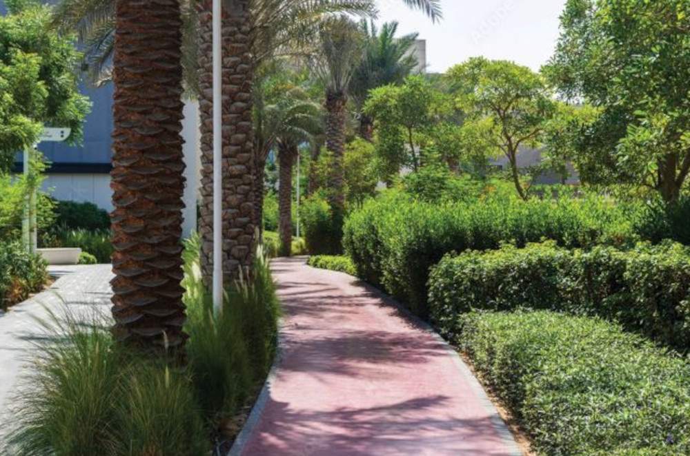  skylark 1 Landscape Garden and Tree Planting