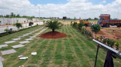  nature-city Elevation