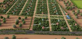 Project Image Project Image