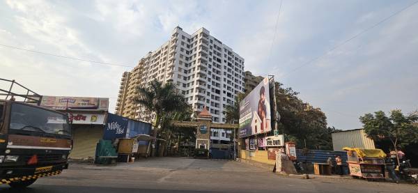  treetown-phase-3 Elevation