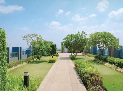  primestone Landscape Garden and Tree Planting